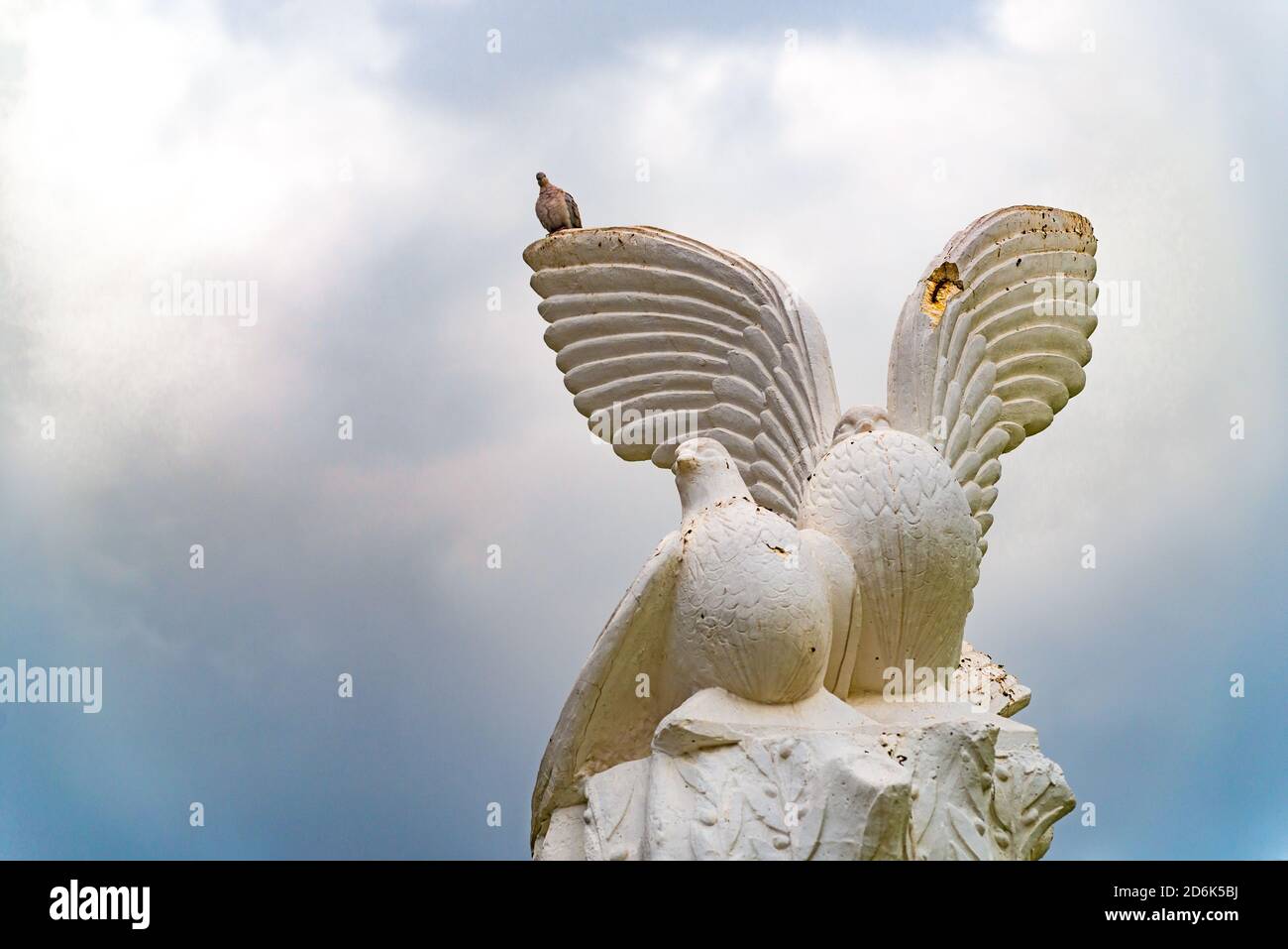 Photo d'un pigeon sur une statue de pigeons Banque D'Images