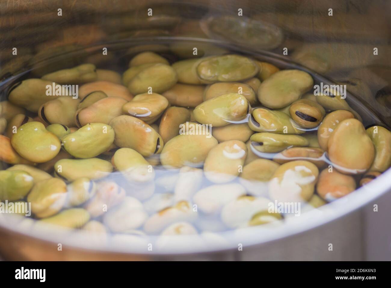 Fèves séchées (Vicia Faba) imbibées d'eau dans une casserole, avant la cuisson Banque D'Images