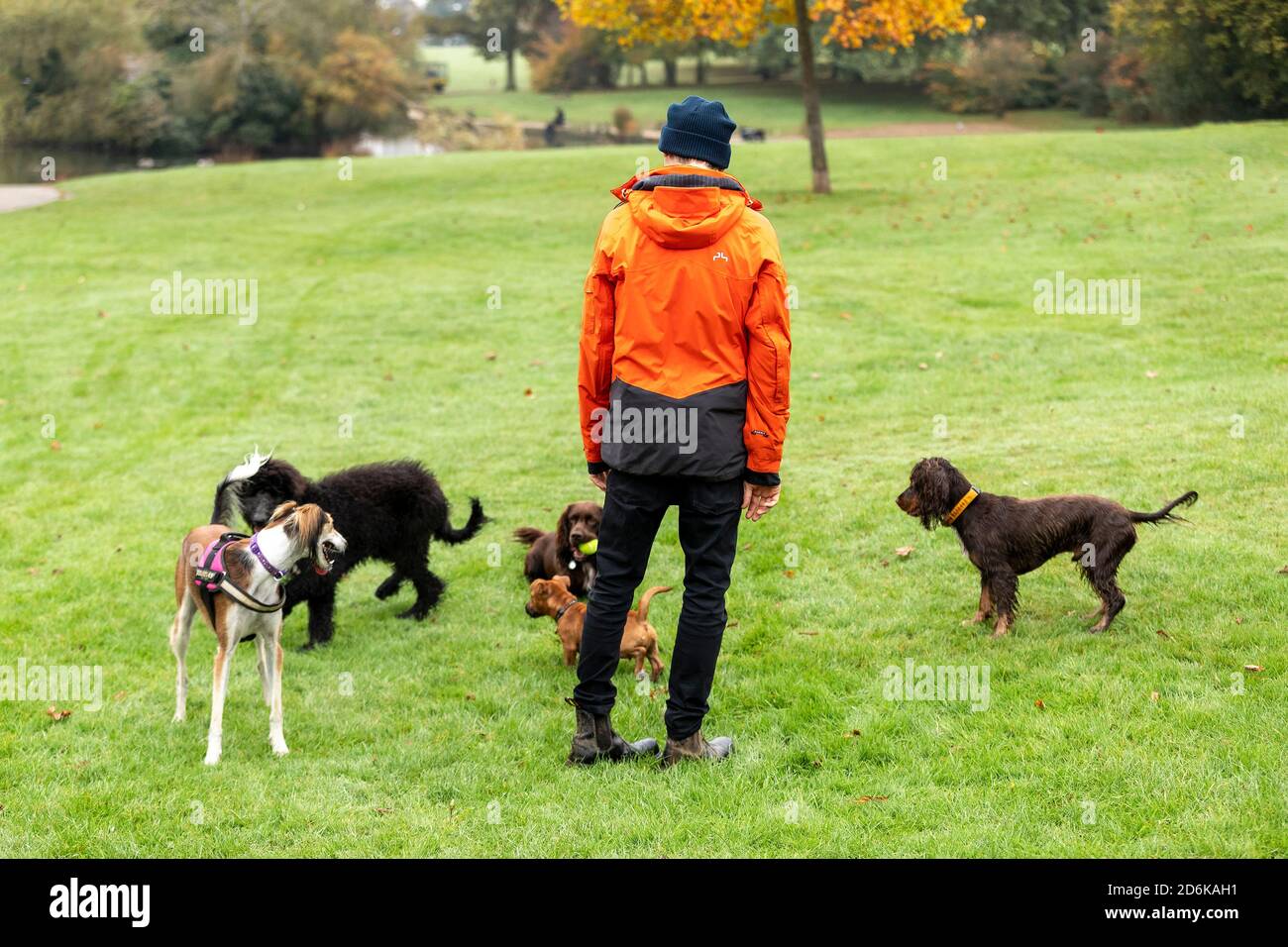 Northampton, Royaume-Uni, 18 octobre 2020. Les gens et les chiens à Abington Park un dimanche matin frais pour la pêche de plaisir et d'autres marchant leurs chiens un matin automnal. Crédit : Keith J Smith./Alamy Live News Banque D'Images