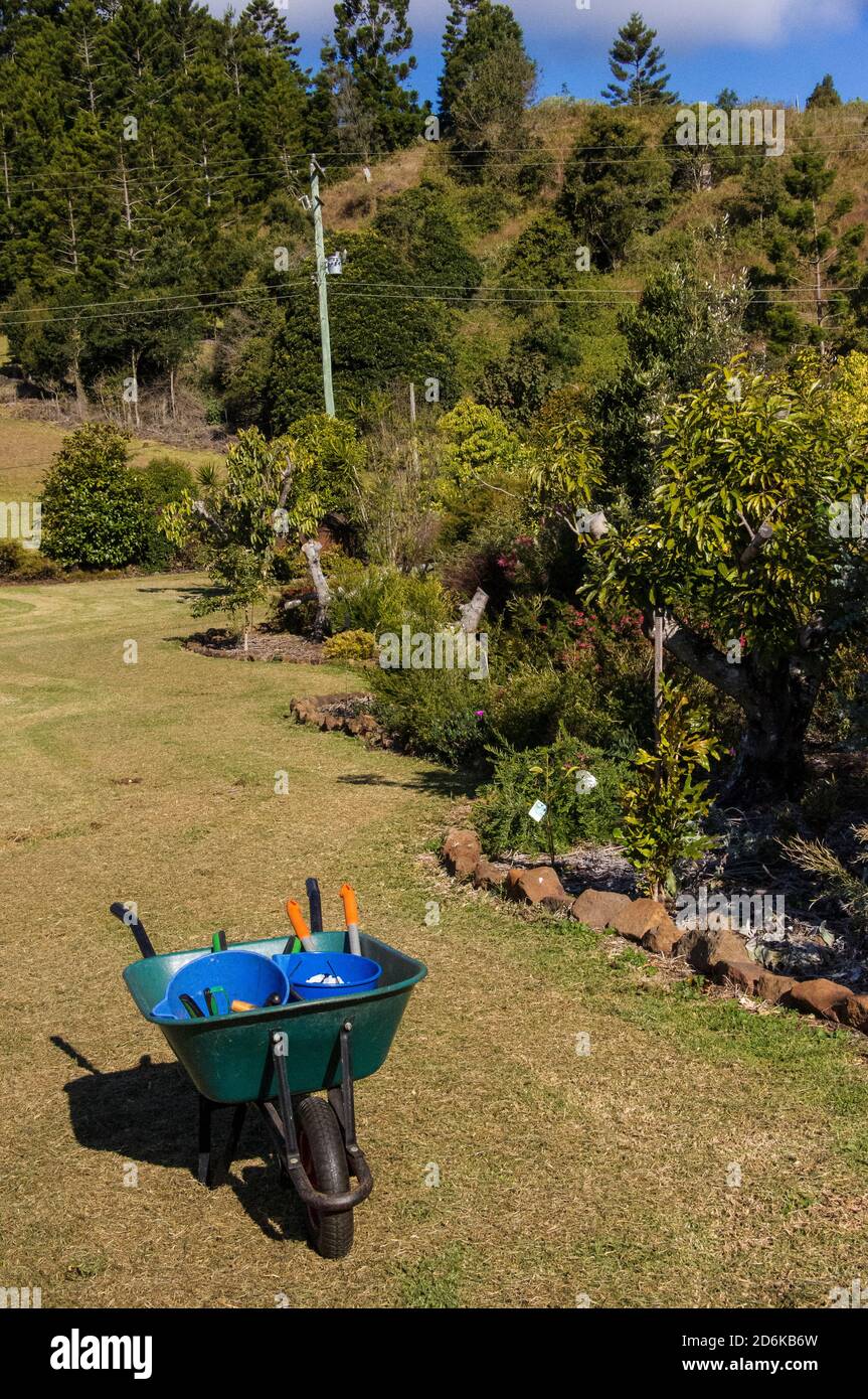 Un jardin privé australien dans le Queensland, avec la roue-barrow de jardinier. Jour d'hiver ensoleillé. Banque D'Images