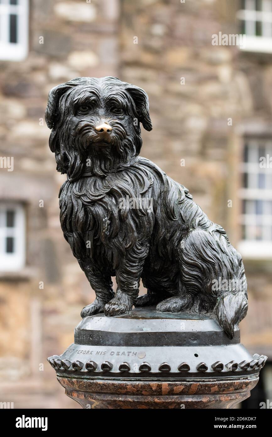 Greyfriars Bobby skye Terrier statue, Édimbourg, Écosse, Royaume-Uni Banque D'Images