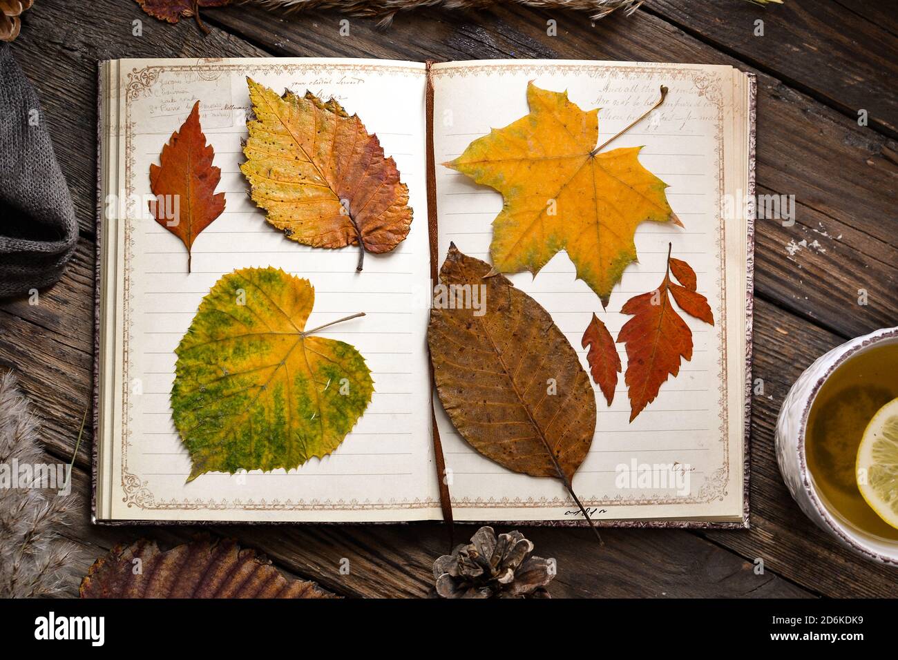Concept d'automne. Feuilles d'automne multicolores dans un carnet. Vue de dessus. Arrière-plan en bois. Banque D'Images
