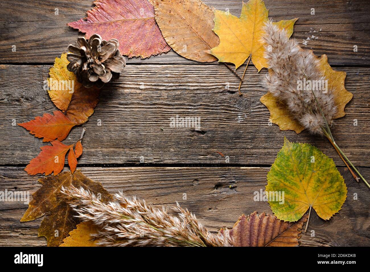 Concept d'automne. Feuilles d'automne multicolores. Vue de dessus. Arrière-plan en bois. Banque D'Images