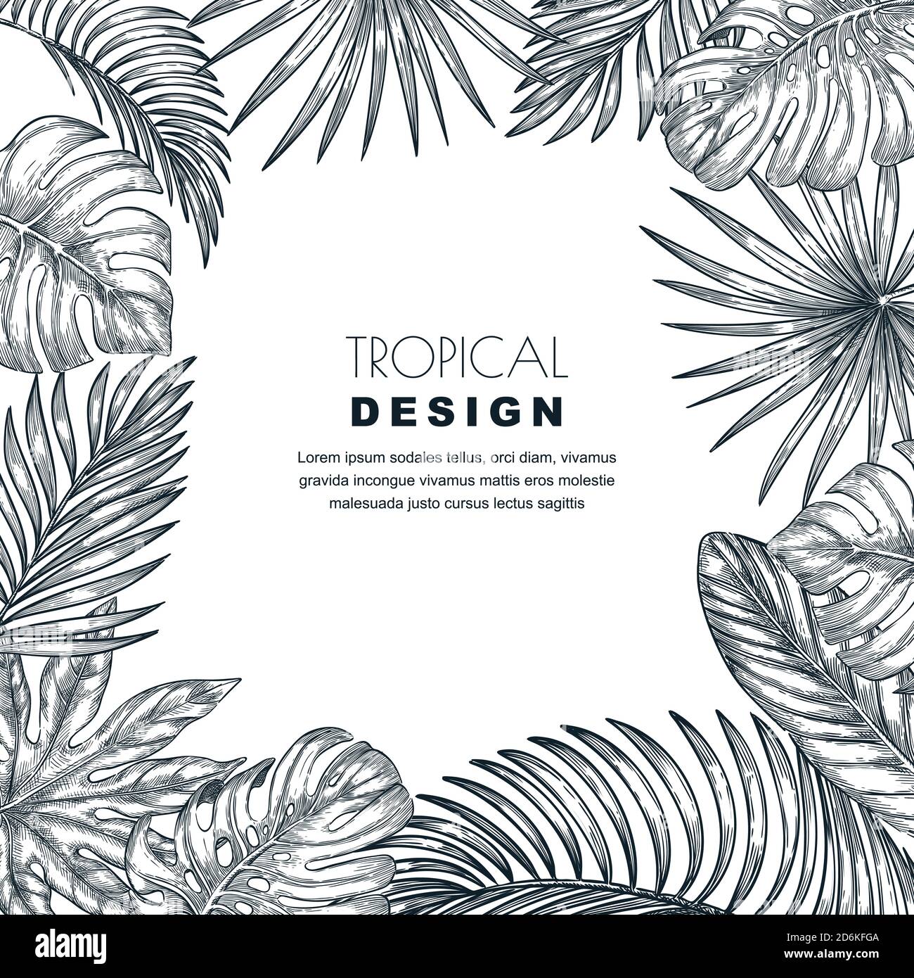 Le palmier tropical laisse un cadre carré vectoriel. Croquis dessiné à la main des plantes exotiques de la jungle. Illustration de Vecteur