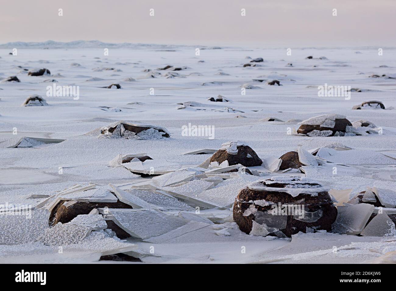 Côte surgelée en hiver avec de la glace brisée et des pierres noires comme minimaliste simple vide paysage nord dans la couleur bleu pastel. Banque D'Images