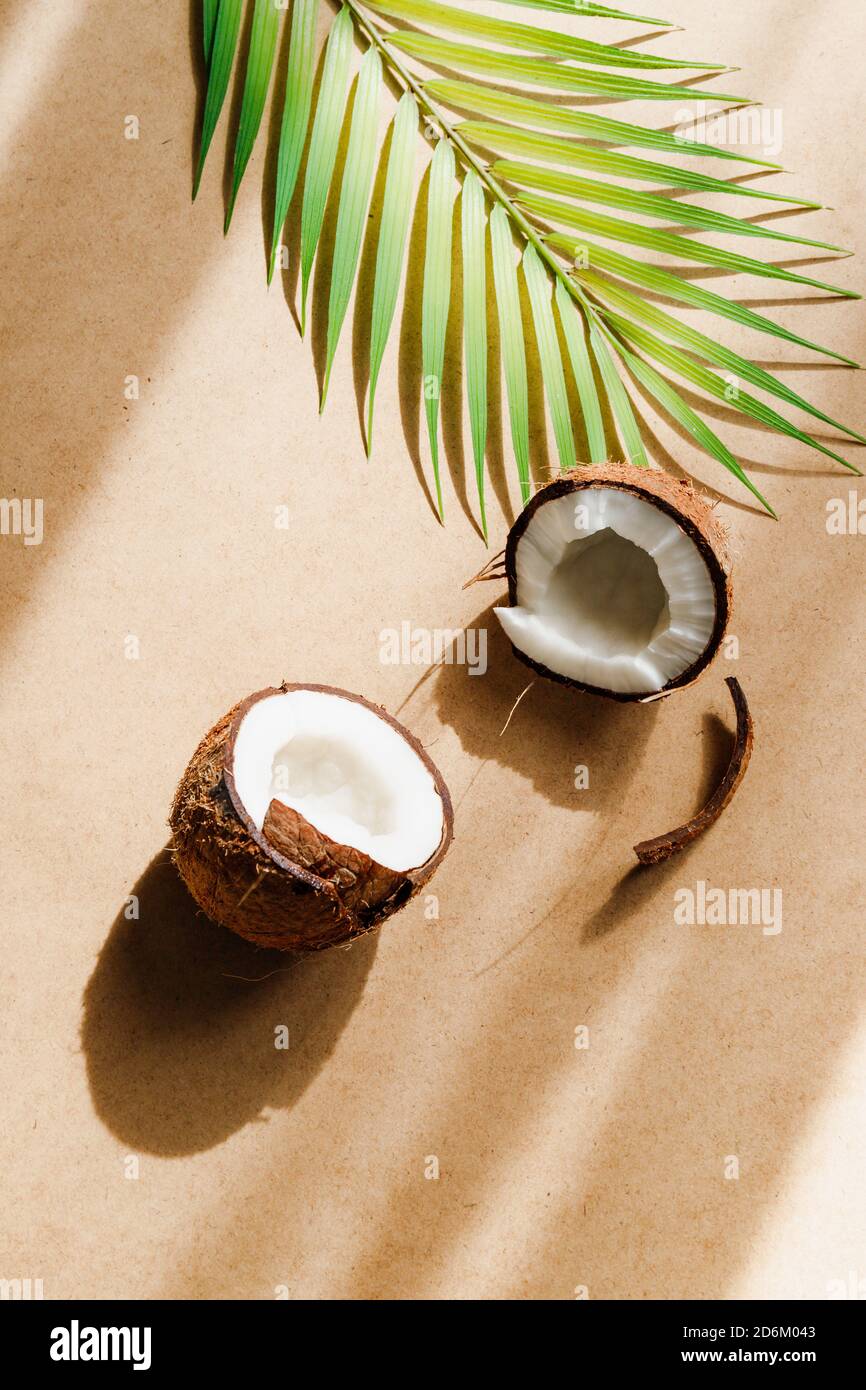Composition créative abstraite d'été avec feuille de noix de coco et de palmier sur papier kraft. Banque D'Images