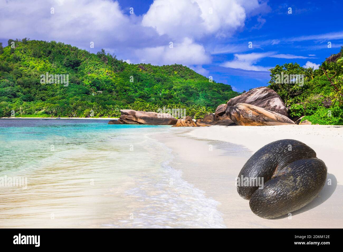 Nature tropicale idyllique et plages des Seychelles. Noix coco de mer - symbole des îles Banque D'Images