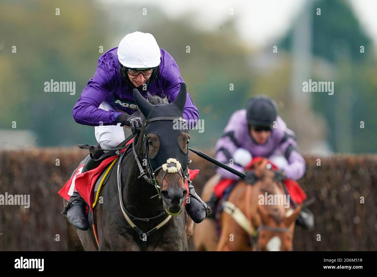 Casier Room Talk criblé par Jack Savage effacer le dernier à gagner le pari au racingtv.com handicap Chase à l'hippodrome de Kempton Park. Banque D'Images