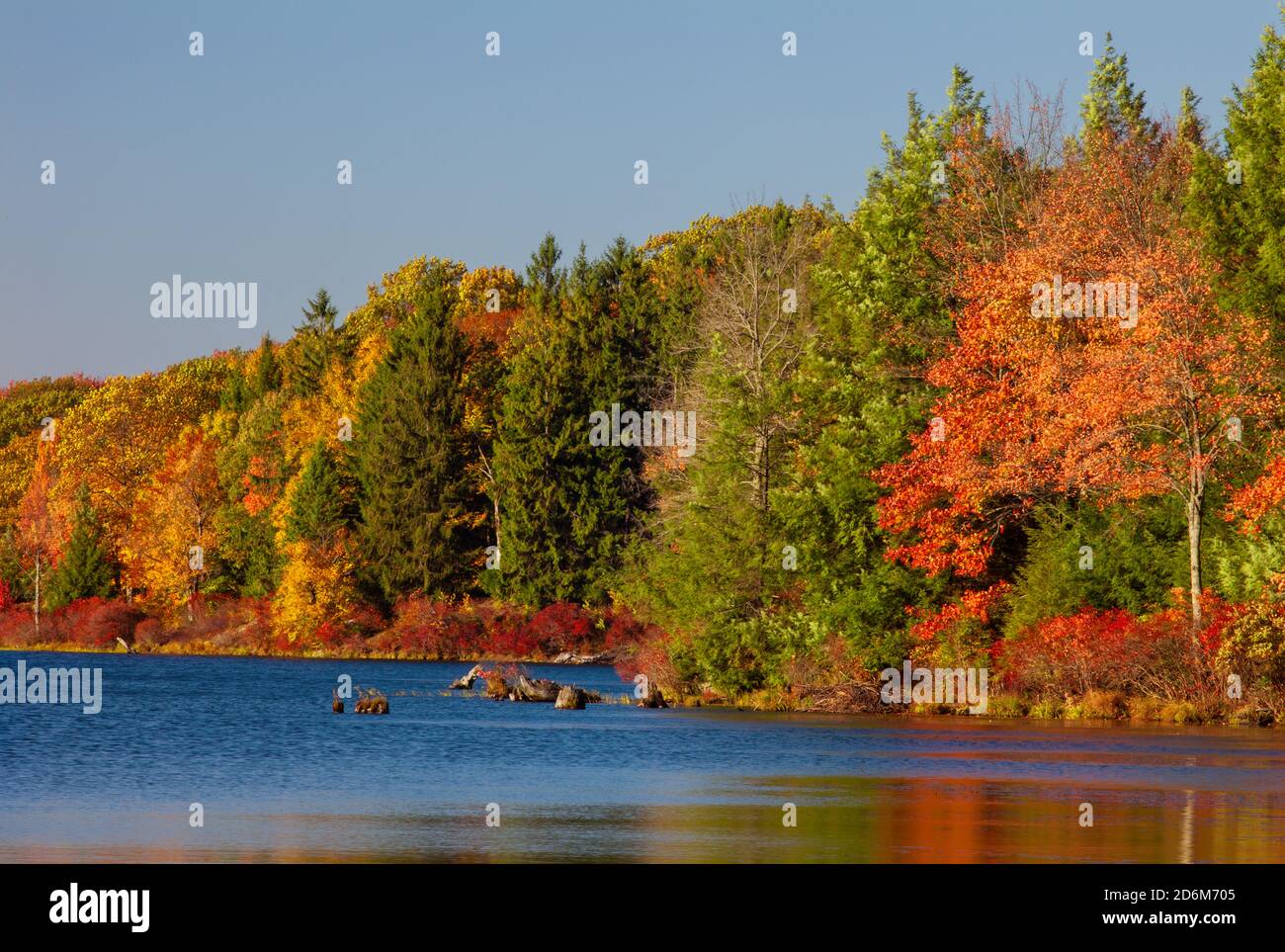 422 acres promis Land Lake à promis Land State Park est Situé dans les montagnes Pocono de Pennsylvanie Banque D'Images