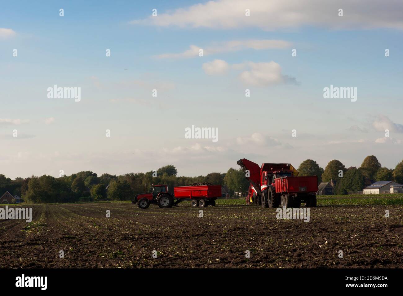 Tracteur et moissonneuse-batteuse à l'exploitation pendant la récolte d'automne. Composition horizontale, image couleur, éditorial. Banque D'Images