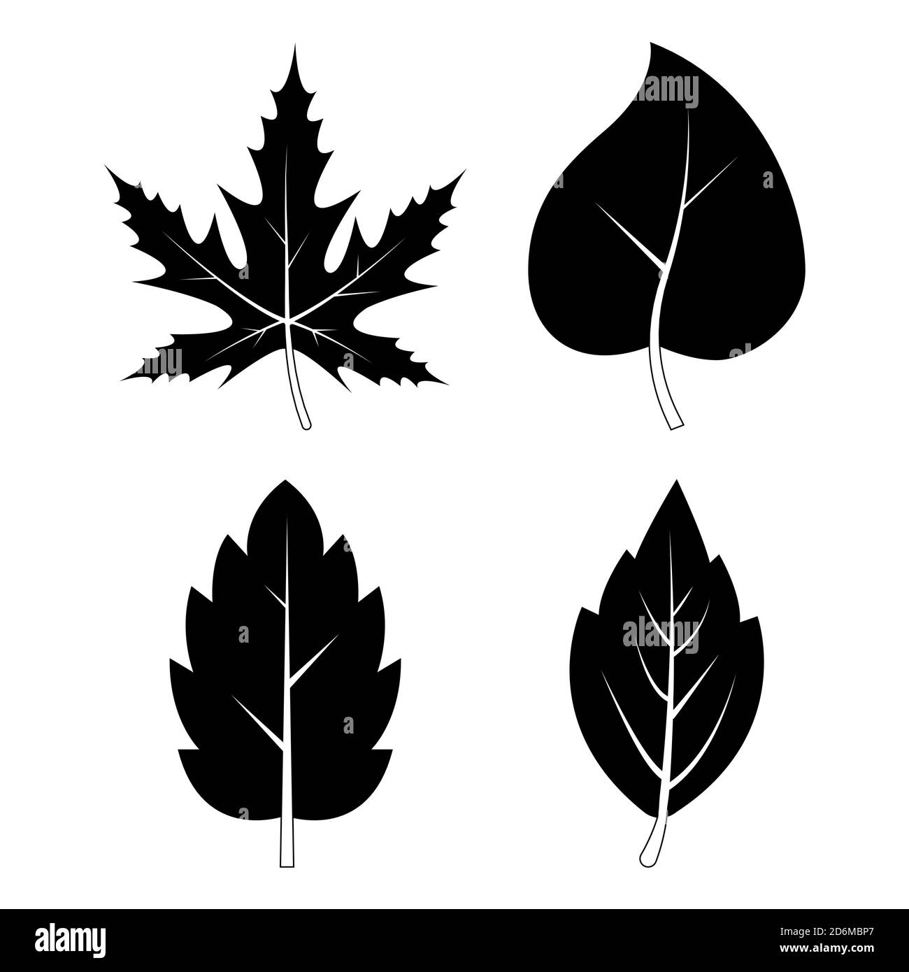 Collection de symboles d'automne des silhouettes de feuilles. Ensemble de feuilles automnales noires et blanches isolées sur blanc. Vecteur noir de la silhouette du feuillage. JE Illustration de Vecteur