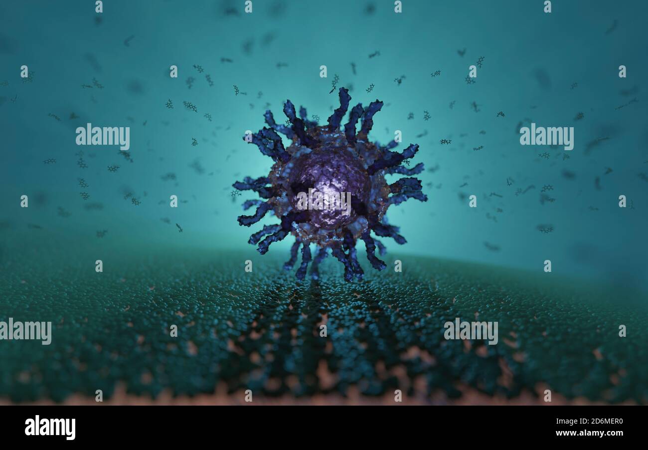 Poliovirus avec récepteurs (pointes). Maladie infectieuse causant la polio (ou poliomyélite) qui se transmet par des aliments, de l'eau ou de la salive contaminés. Banque D'Images