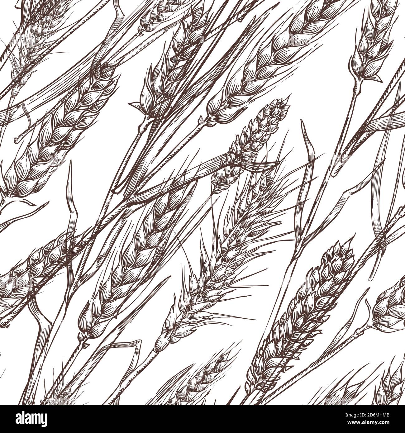 Épillets de céréales de blé, motif vectoriel sans couture. Esquissez une illustration dessinée à la main. Fond de l'emballage de boulangerie et de farine. Illustration de Vecteur