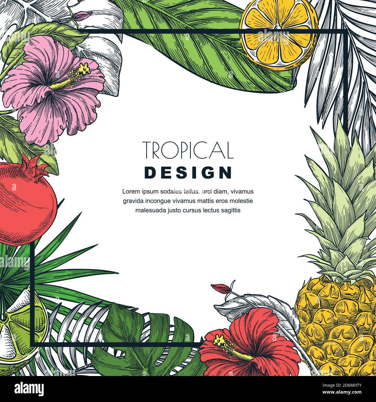 Cadre carré tropical avec feuilles de palmier vertes, ananas, grenade, citron. Illustration vectorielle dessinée à la main de plantes et de fruits exotiques de la jungle. Illustration de Vecteur