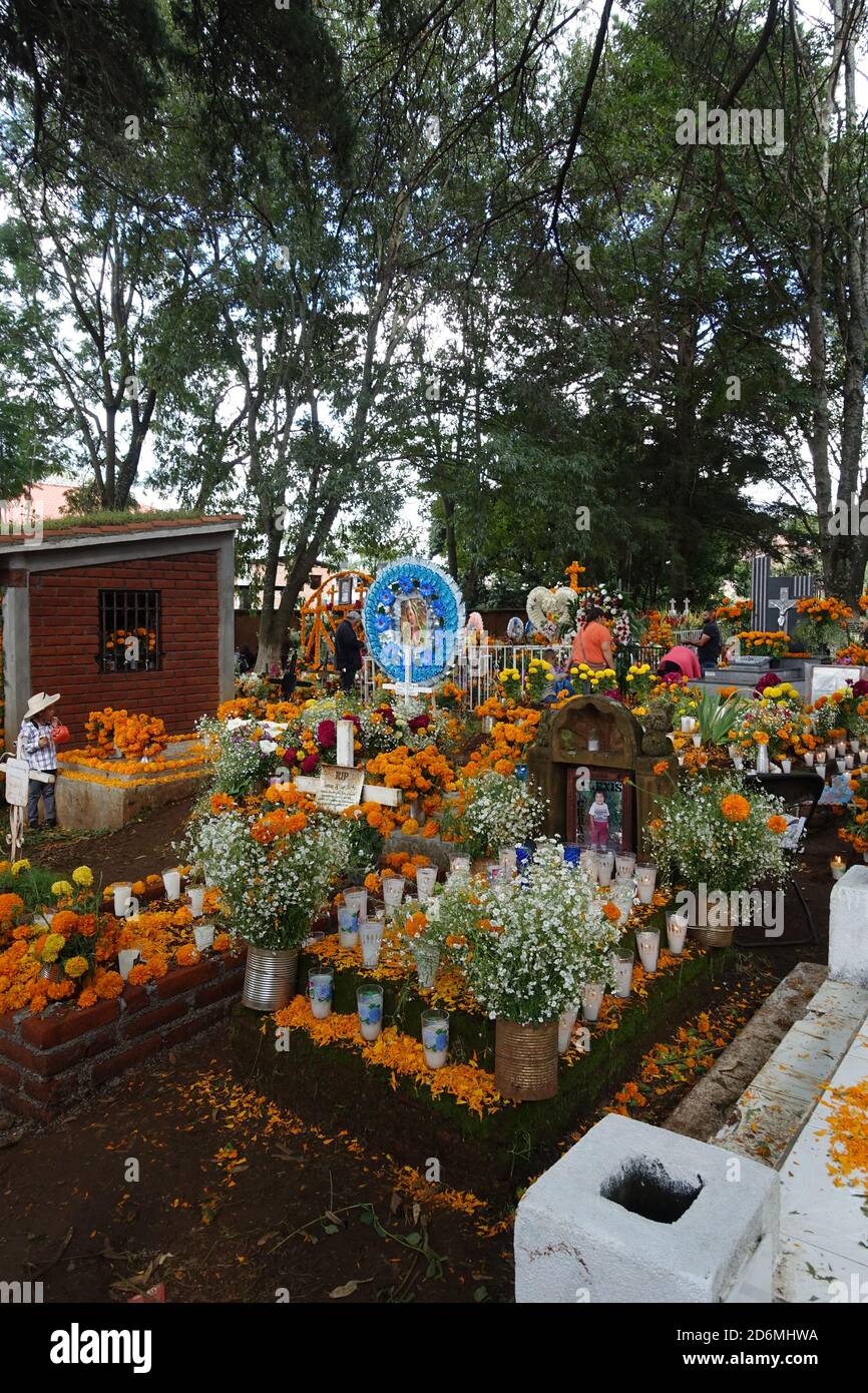 Les marigolds connus au Mexique, comme la « fleur des morts » décorent les tombes à Patzcuaro pendant le jour des morts lorsque les familles se rappellent de leurs proches. Banque D'Images