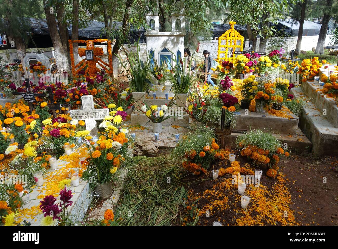 Les marigolds connus au Mexique, comme la « fleur des morts » décorent les tombes à Patzcuaro pendant le jour des morts lorsque les familles se rappellent de leurs proches. Banque D'Images