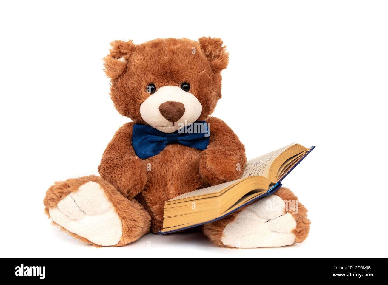 Livre de lecture à l'ours brun en peluche, de retour à l'école Banque D'Images