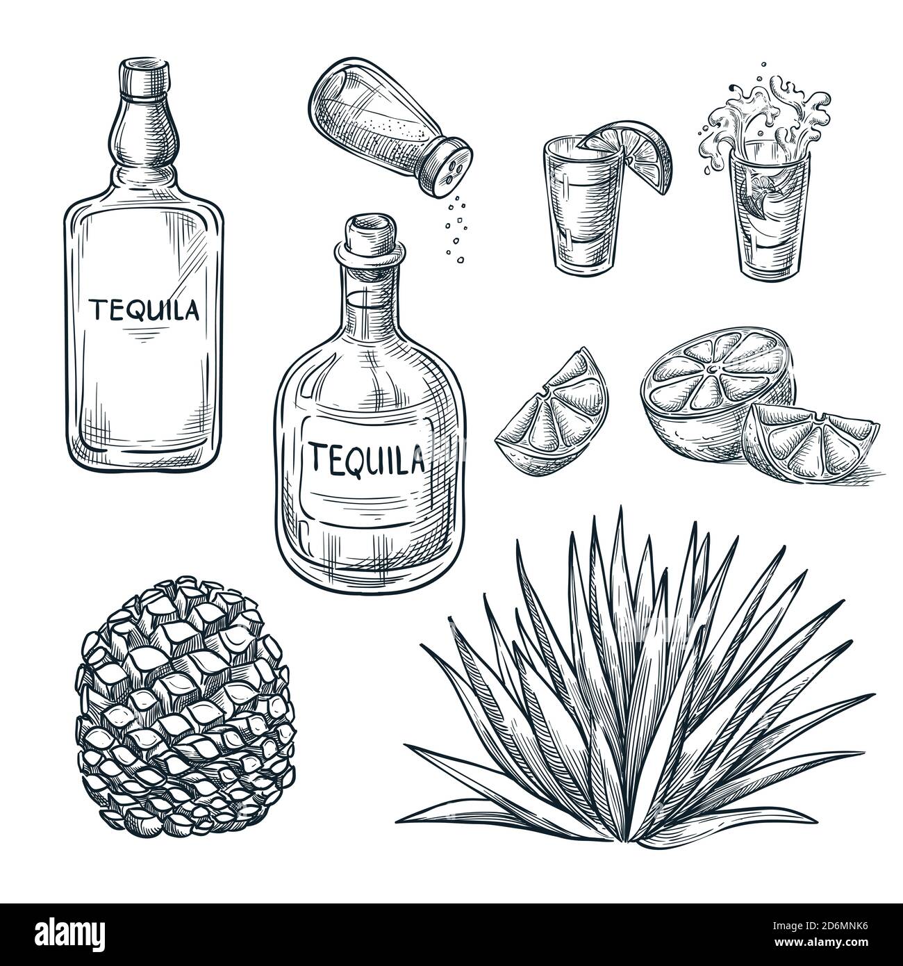 Bouteille Tequila, verre à grenaille et ingrédients, croquis vectoriel. Menu de boissons alcoolisées mexicaines. Illustration de l'usine et de la racine d'Agave. Illustration de Vecteur