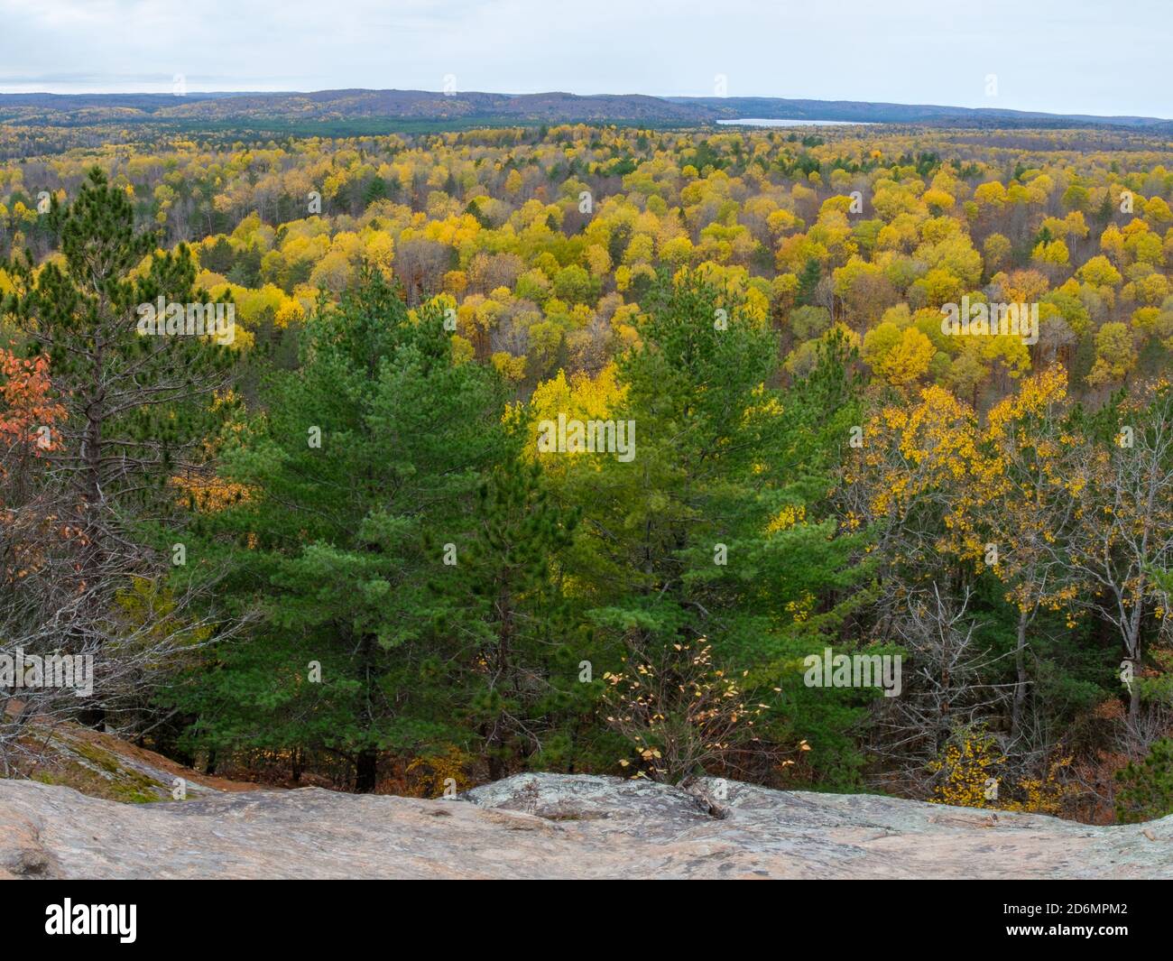 Ontario : magnifique panorama du parc Algonquin à l'automne Banque D'Images