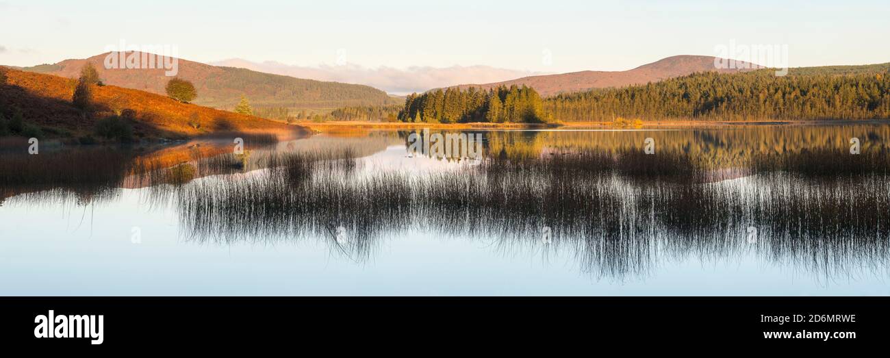 Aube au Loch Stroan en automne, forêt de Galloway, Dumfries & Galloway, Écosse Banque D'Images