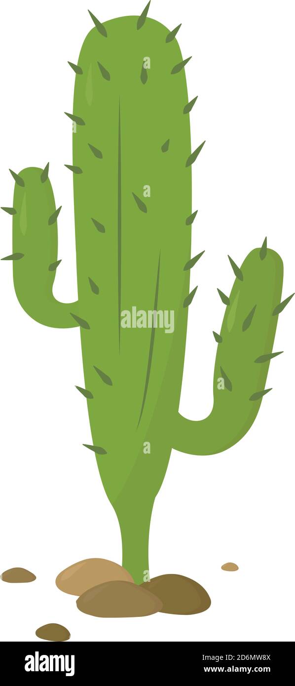 Grand cactus vert, illustration, vecteur sur fond blanc Illustration de Vecteur