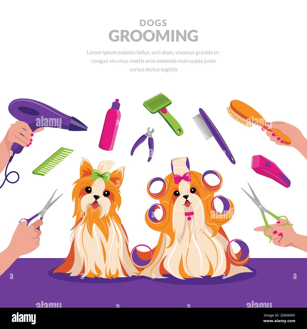 Illustration de dessin animé vectoriel pour le toilettage de chiens. Concept de soins pour animaux. Les chiens chih tzu et yorkshire terrier sont mignons dans le salon des groomers. Illustration de Vecteur