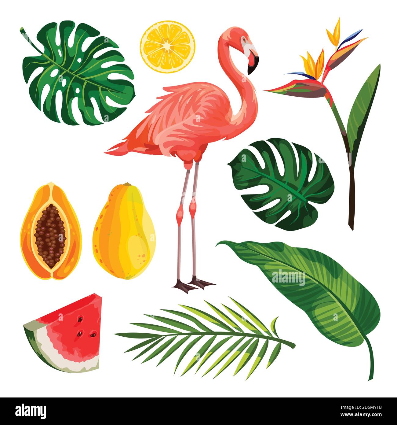 Ensemble d'éléments de conception vecteur tropical d'été, isolé sur fond blanc. Illustration de dessins animés de flamants roses, de feuilles de palmier et de fruits exotiques. Illustration de Vecteur