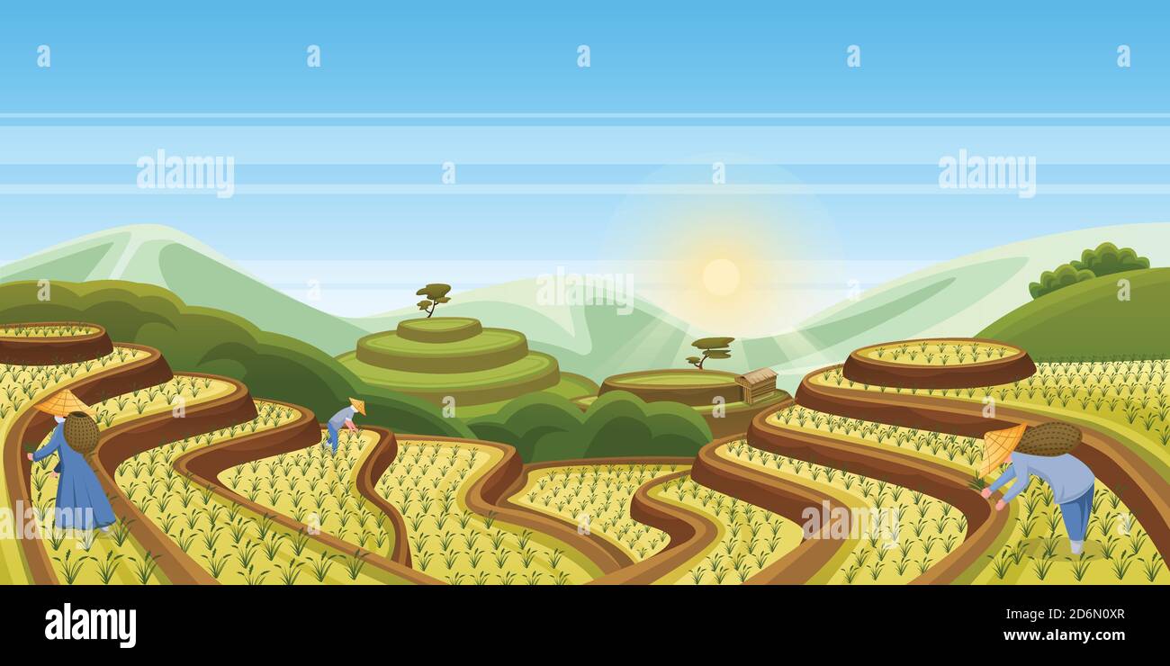 Rizières en terrasse, illustration vectorielle de paysage de dessin animé. Agriculture agricole asiatique de récolte fond horizontal. Vue sur la nature rurale de la Chine. Les gens se prostituent Illustration de Vecteur