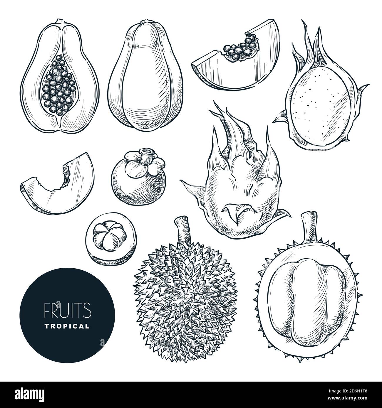Ensemble de fruits exotiques tropicaux, isolé sur fond blanc. Illustration d'esquisse vectorielle et éléments de conception. Produits savoureux à base de tropique dessinés à la main. Illustration de Vecteur