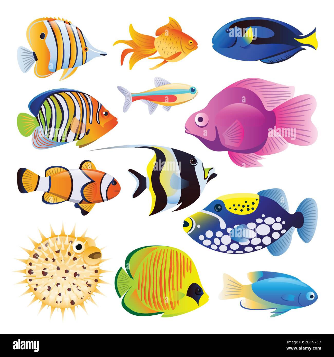 Illustration d'un dessin animé plat vectoriel de poissons de mer. Récif tropical de l'océan ou aquarium maison poissons exotiques ensemble, isolé sur fond blanc. Conception de la vie marine Illustration de Vecteur