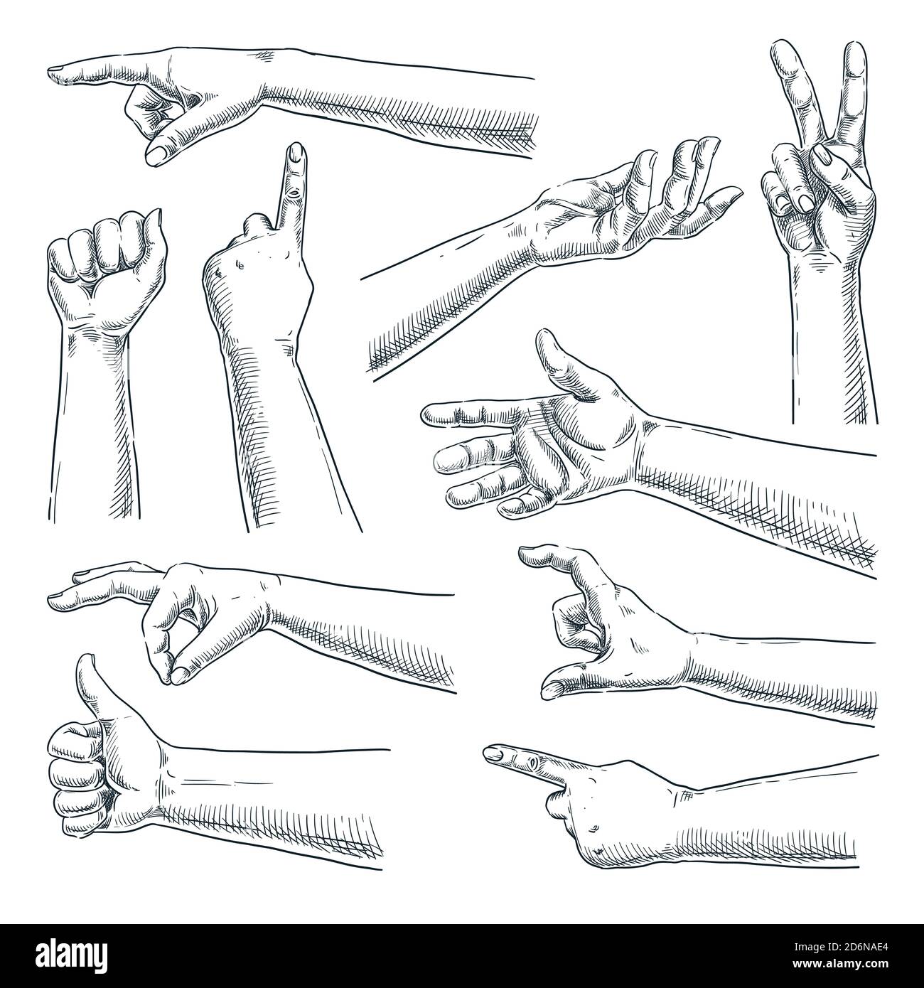 Mouvement des mains et des doigts. Illustration vectorielle dessinée à la main. Collection de mains pour hommes ou femmes, isolée sur fond blanc Illustration de Vecteur