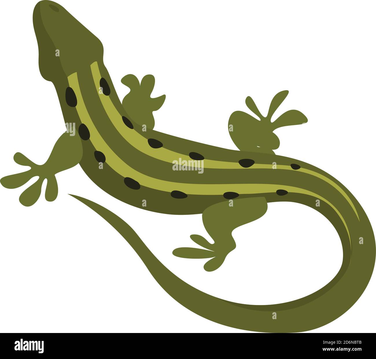 Lézard vert, illustration, vecteur sur fond blanc Illustration de Vecteur