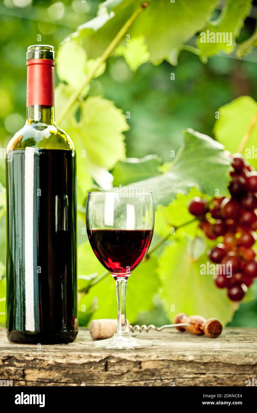 Vin & raisins Banque D'Images