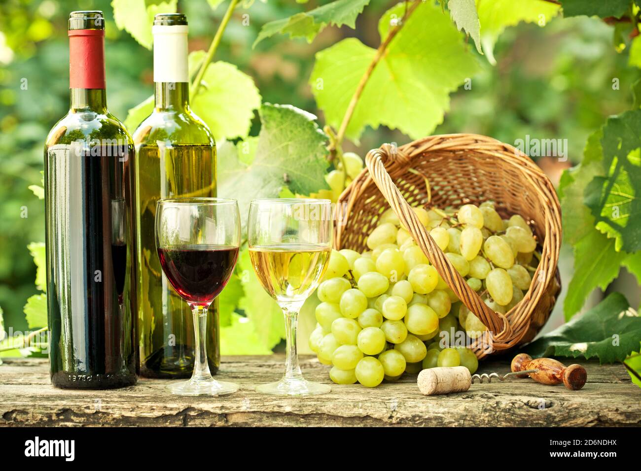 Vin & raisins Banque D'Images