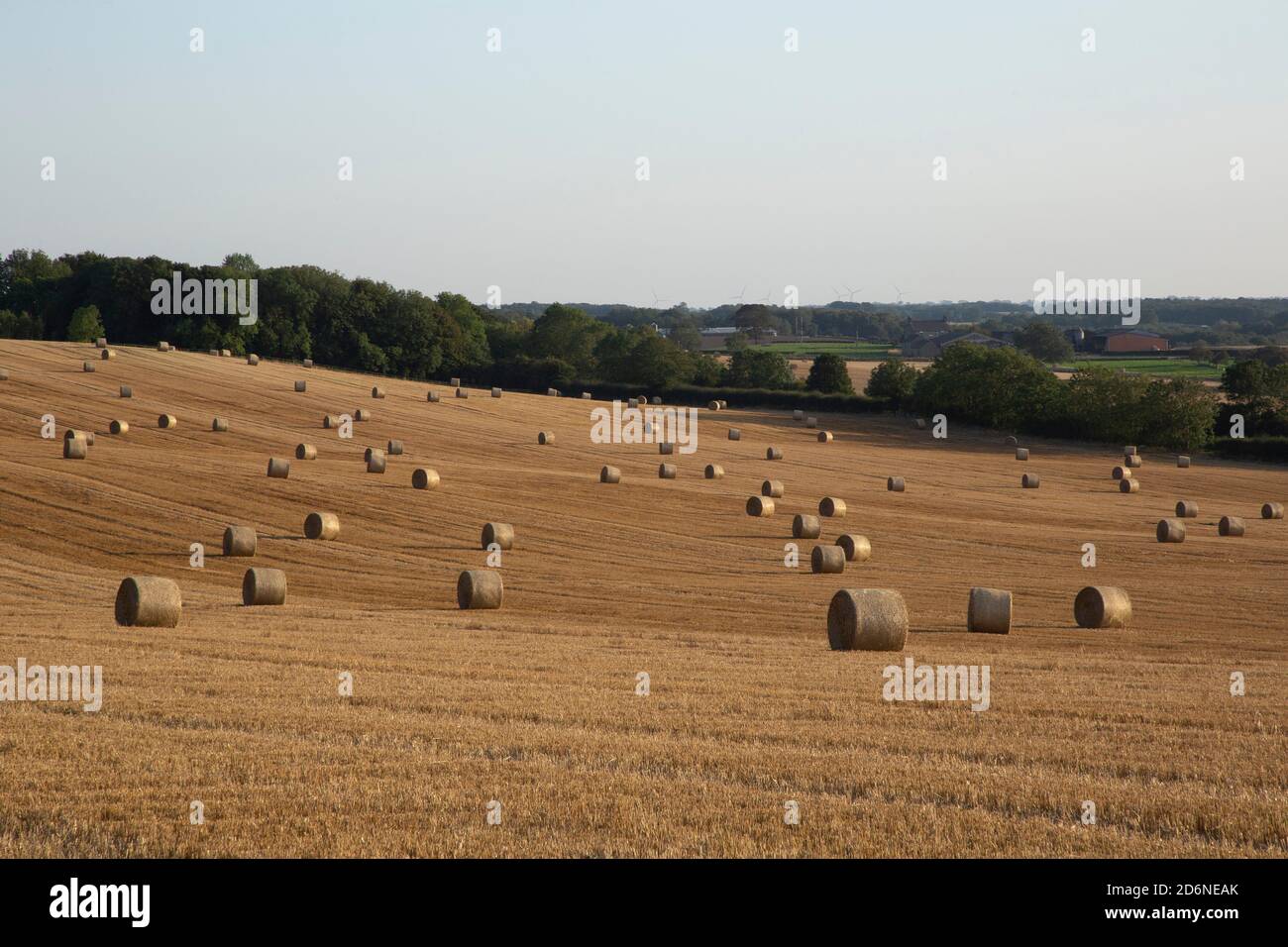 Septembre 2020, Durham, Royaume-Uni. Un champ rempli de balles de foin pendant la pandémie COVID-19. Banque D'Images