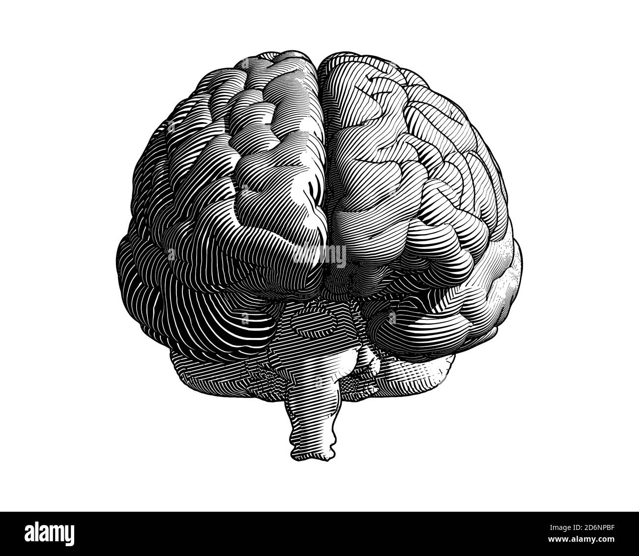 Illustration de la vue avant du dessin monochrome avec la ligne d'écoulement style art vintage isolé sur fond blanc Banque D'Images