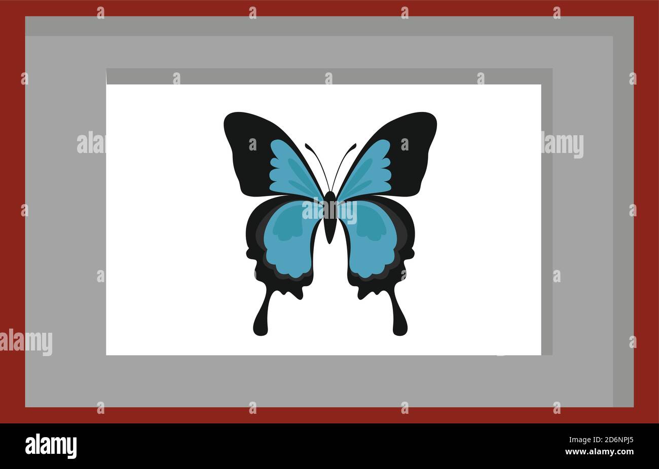 Papillon rare, illustration, vecteur sur fond blanc Illustration de Vecteur