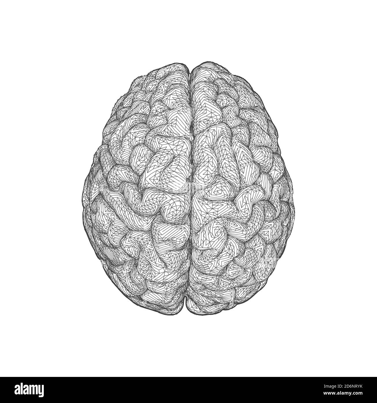 Illustration du cerveau stylisé à faible triangulate de poly dans la vue de dessus isolée sur fond blanc Banque D'Images