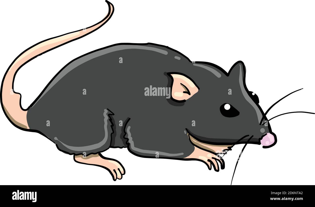 Petite souris, illustration, vecteur sur fond blanc Illustration de Vecteur