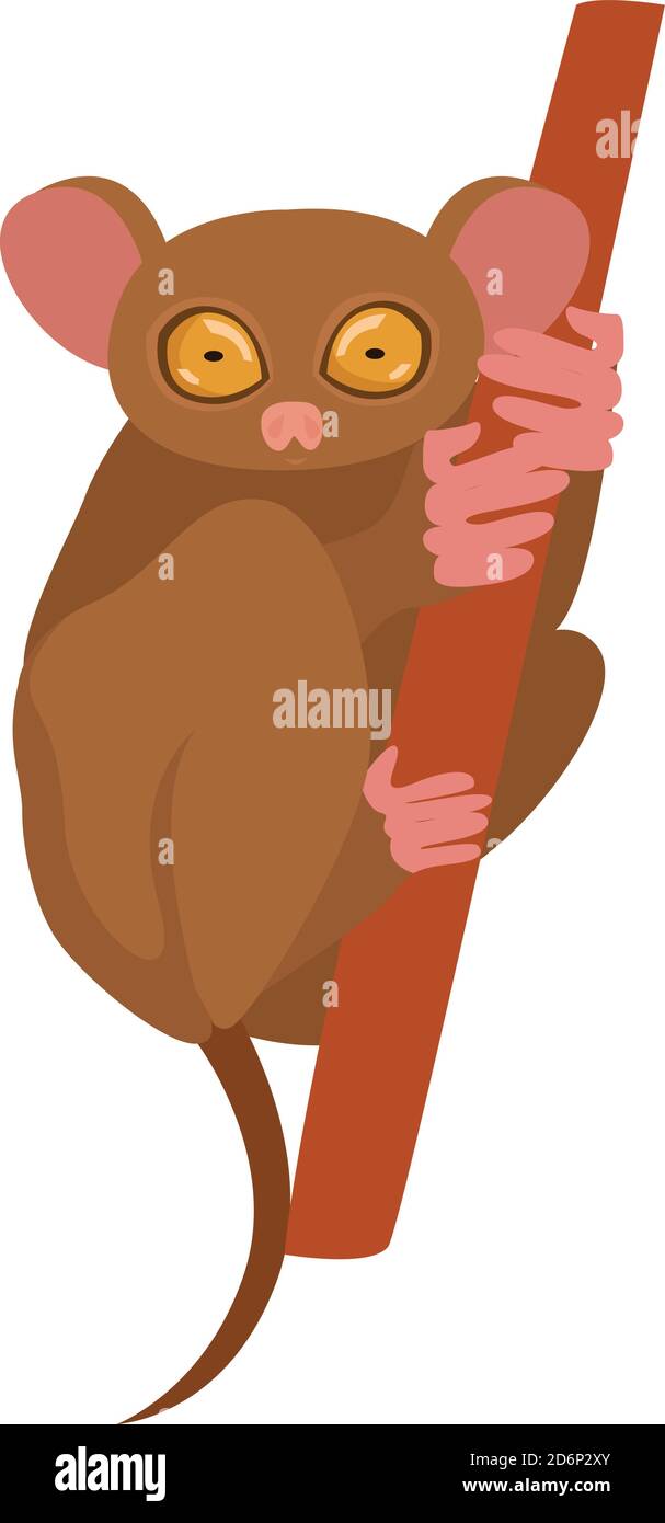 Tarsius brun, illustration, vecteur sur fond blanc Illustration de Vecteur Tarsius brun, illustration, vecteur sur fond blanc Illustration de Vecteur