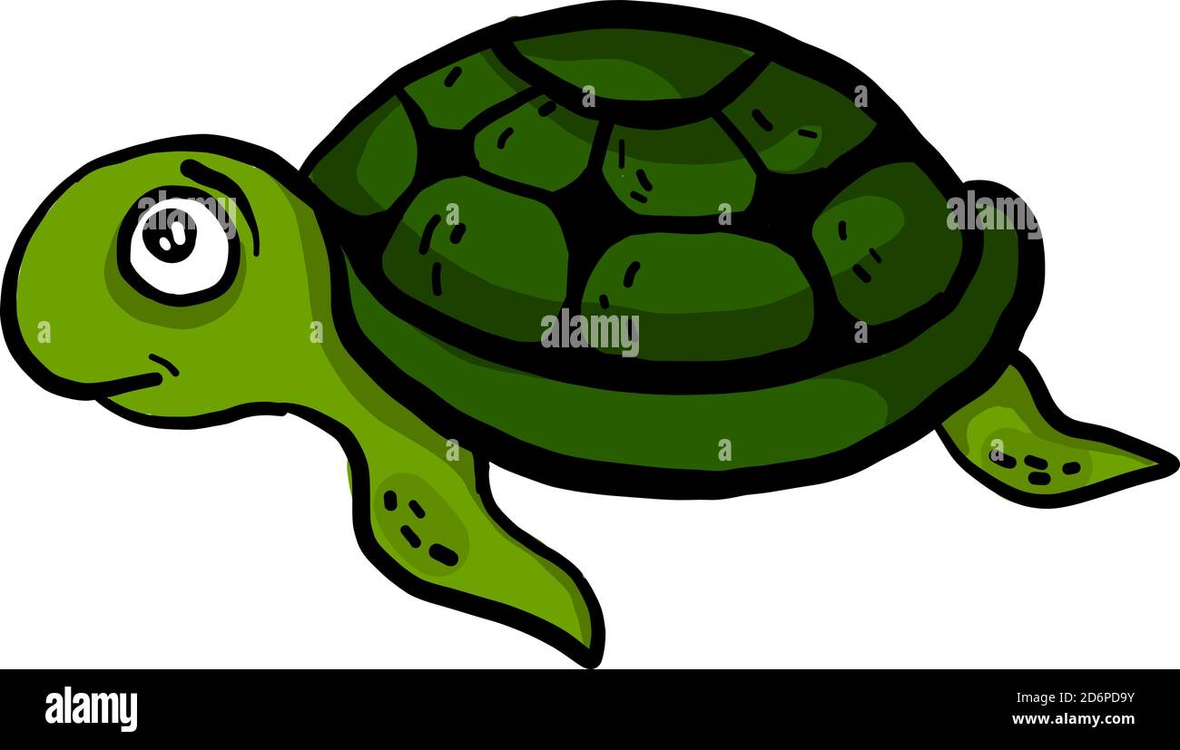 Tortue verte effrayée, illustration, vecteur sur fond blanc. Illustration de Vecteur