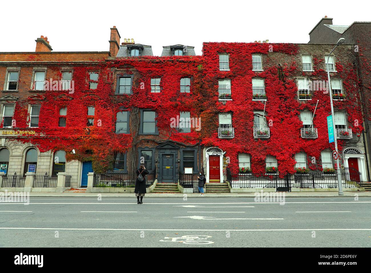 Dublin. 19 octobre 2020. Une femme prend des photos d'un bâtiment couvert de feuilles rouges à Dublin, Irlande, le 18 octobre 2020. Credit: Xinhua/Alay Live News Banque D'Images