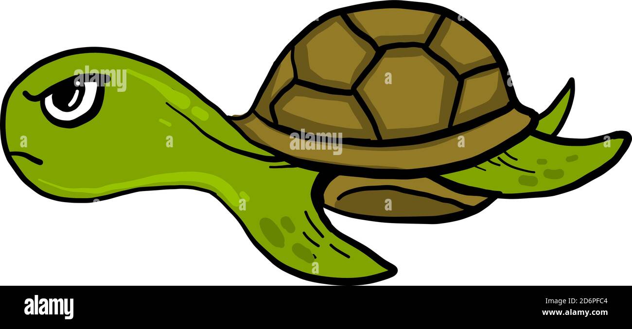 Tortue verte en colère, illustration, vecteur sur fond blanc. Illustration de Vecteur