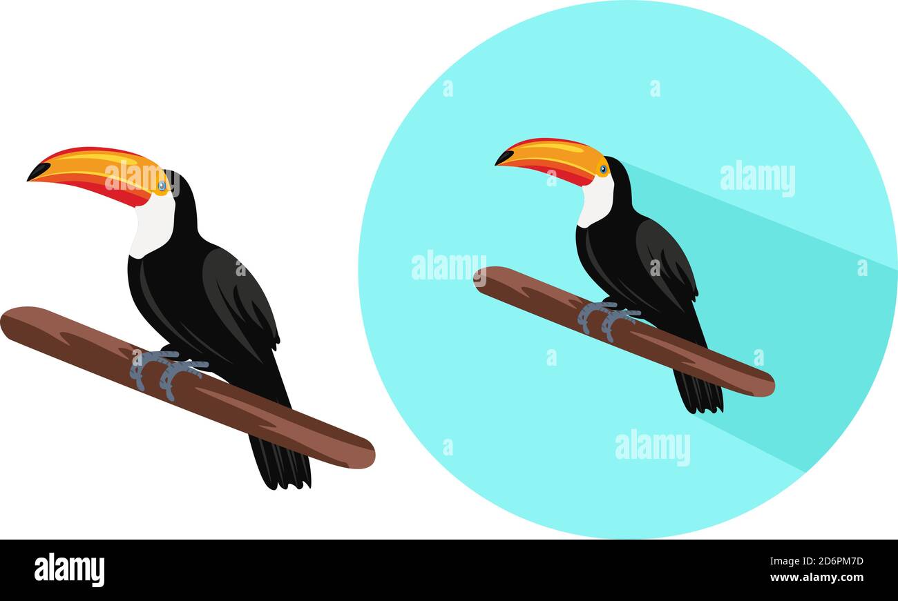 Toucan oiseau, illustration, vecteur sur fond blanc. Illustration de Vecteur