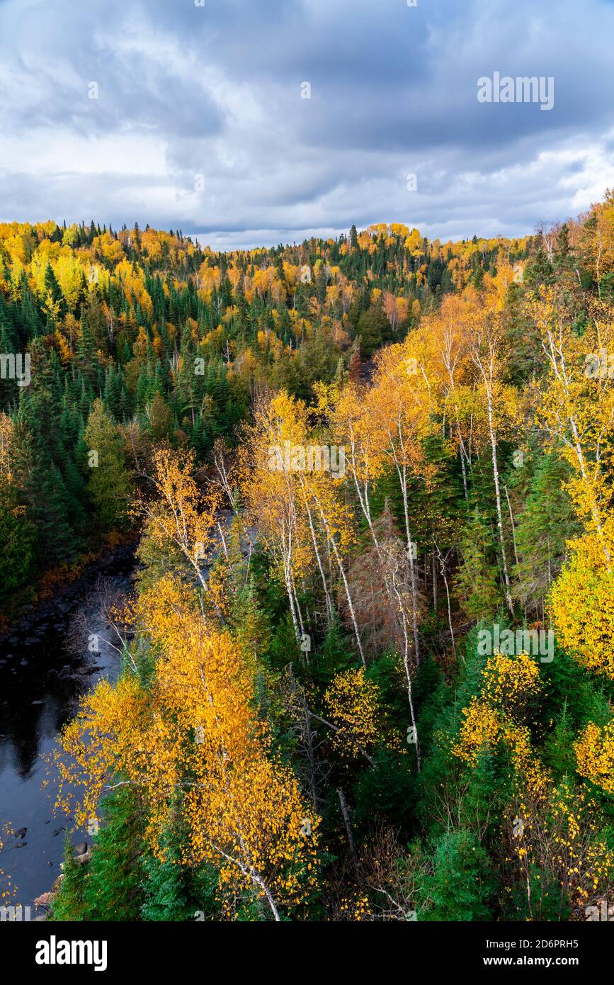 Couleur du feuillage d'automne au parc provincial Sleeping Giant, Thunder Bay, Ontario, Canada. Banque D'Images