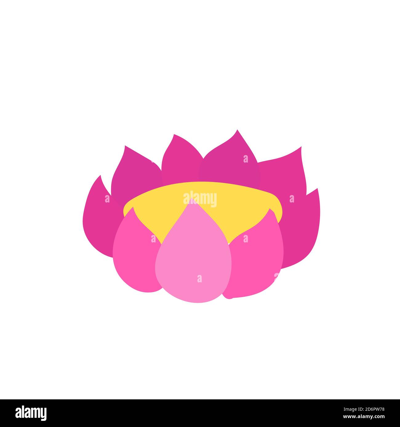 Nénuphars japonais avec feuilles de liaison et partie centrale jaune. Illustration vectorielle dessinée à la main isolée sur fond blanc. Illustration de Vecteur