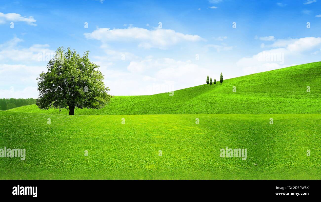 Champ d'herbe verte et ciel bleu avec des nuages Banque D'Images