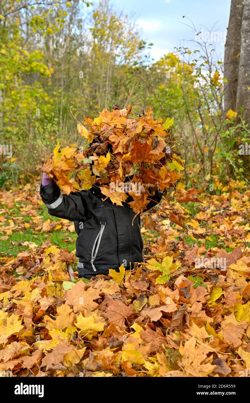 enfant jouant dans les feuilles d'automne jaune et orange Banque D'Images