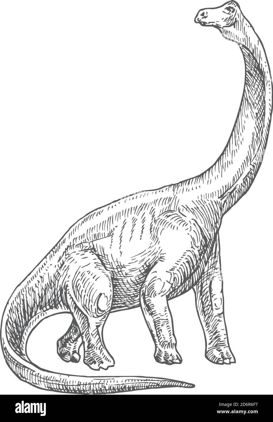 Illustration du vecteur des dinosaures préhistoriques. Dessin de style d'engraving des reptiles du Brontosaurus dessiné à la main. Illustration de Vecteur