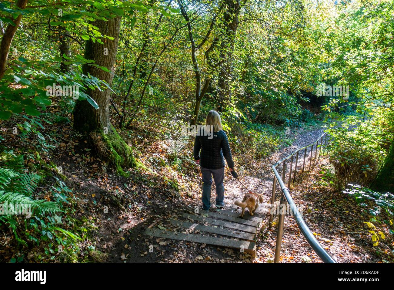 Le sentier de 100 marches menant à la rivière Tummel et à la passerelle à Pitlochry, dans le Perthshire, en Écosse, au Royaume-Uni Banque D'Images